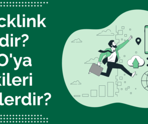 SEO’nuzu Tehdit Eden Zararlı Backlinkler ve Yönlendirmeler ! Web Sitenizi Nasıl Kurtarmalısınız?