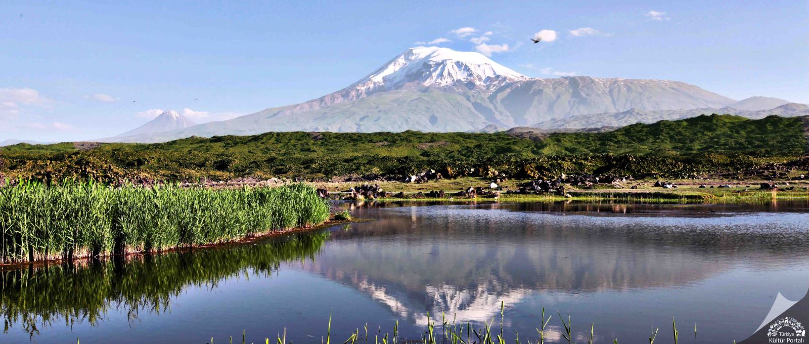 Türkiye’nin En Büyük Dağı: Ağrı Dağı Rehberi