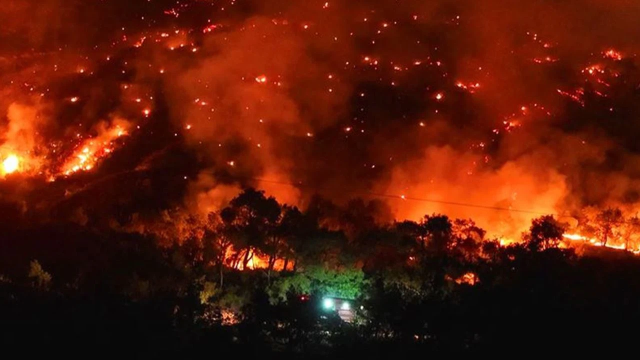İzmir Yanıyor: Bu Sadece Bir Yangın Değil Sessiz Bir Çığlık