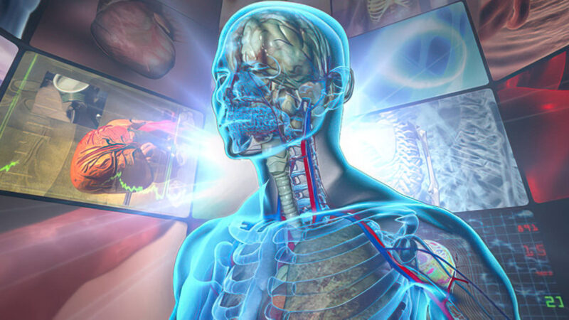 insan-vücudu-grafik-görseli