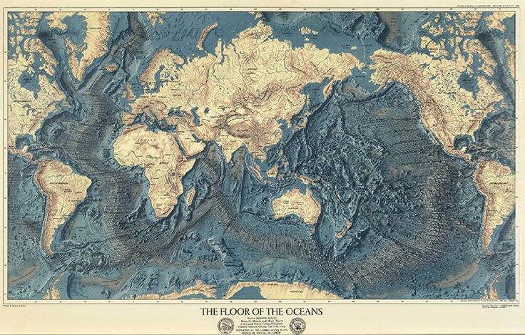 Denizler ve Okyanuslar Hakkında Bilgiler